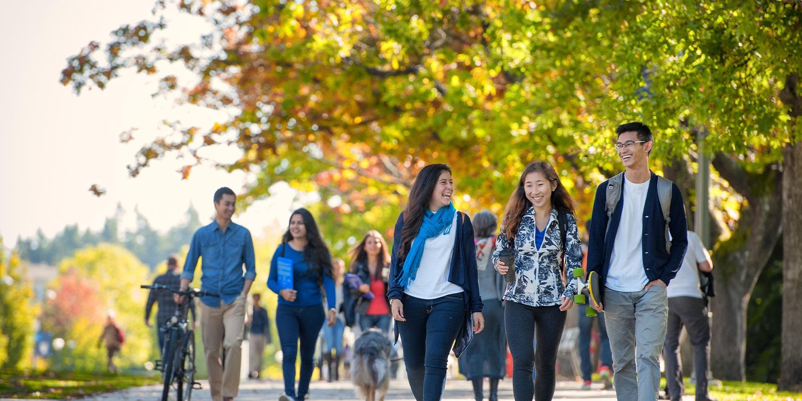 UBC International Scholars Program